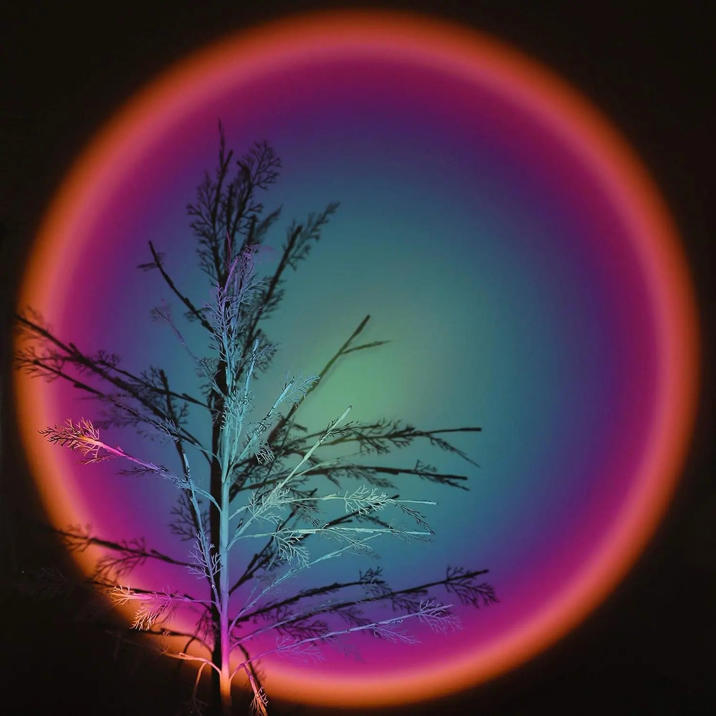 Sunset Lamp Atmosphere Light